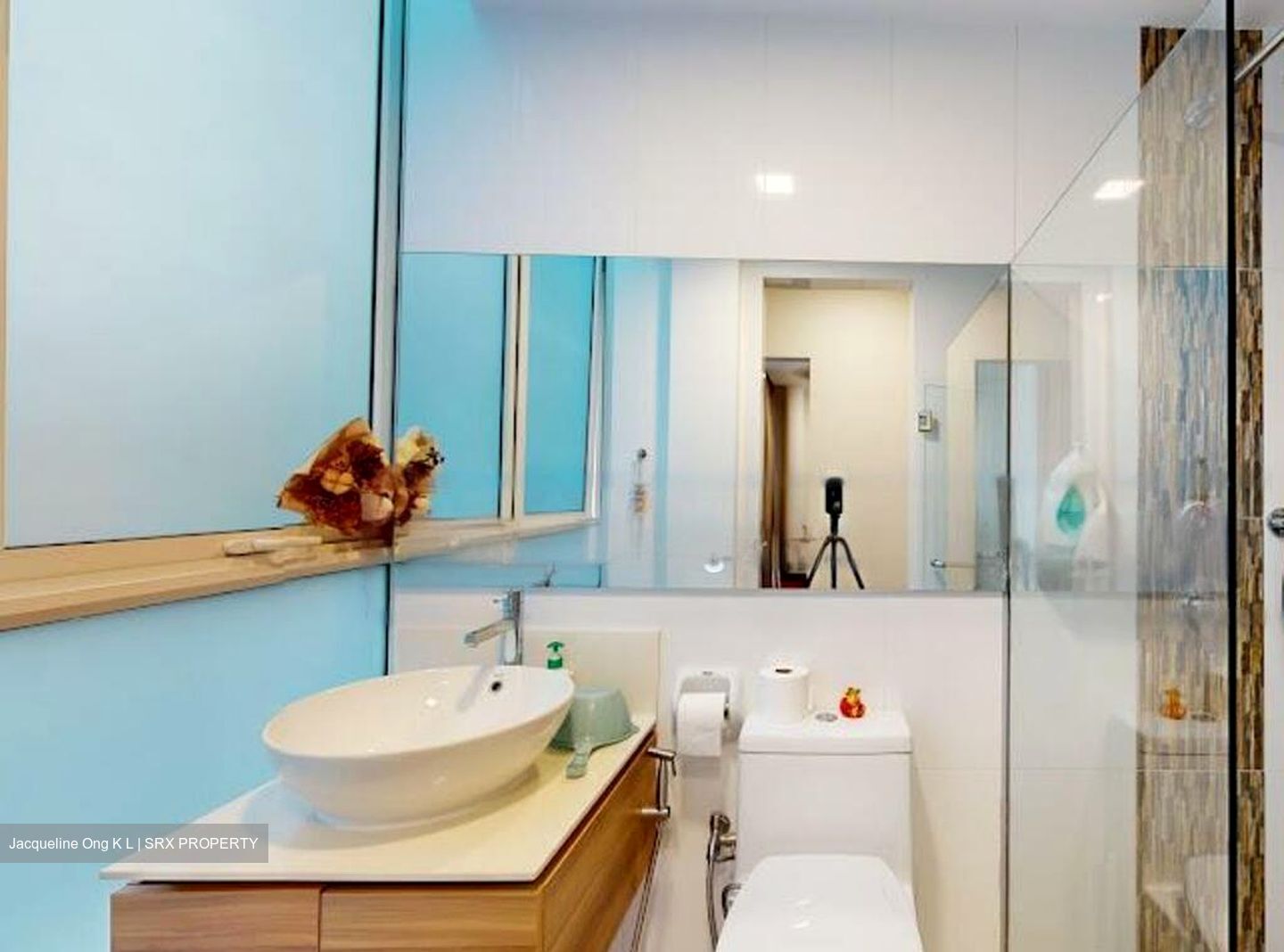 Upper Aljunied Road (D13), Semi-Detached #482244071